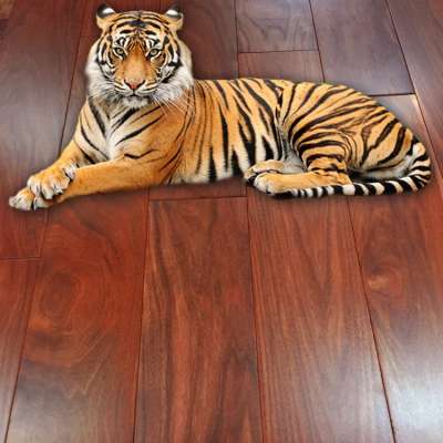 Wholesale Solid Tiger Timber Wooden Flooring Solid Wood